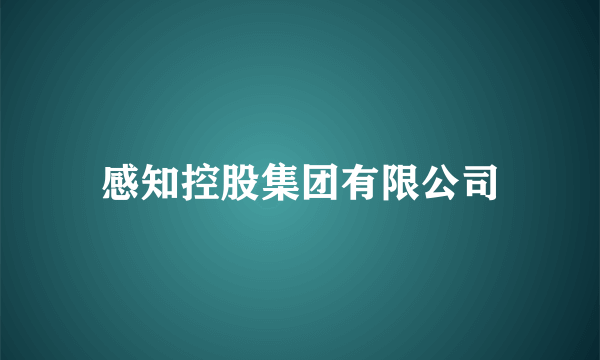 感知控股集团有限公司