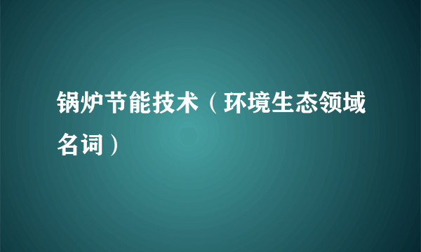 锅炉节能技术（环境生态领域名词）