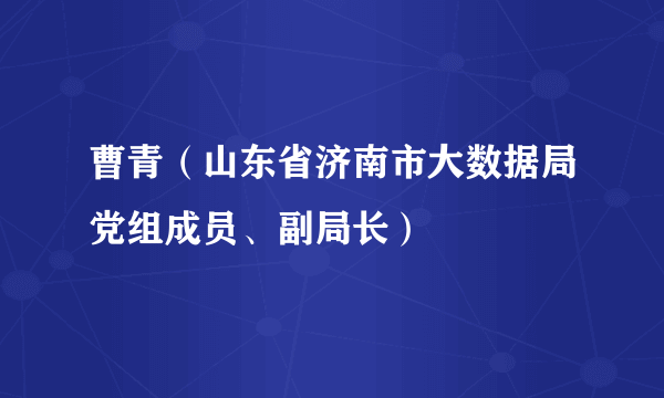 曹青（山东省济南市大数据局党组成员、副局长）