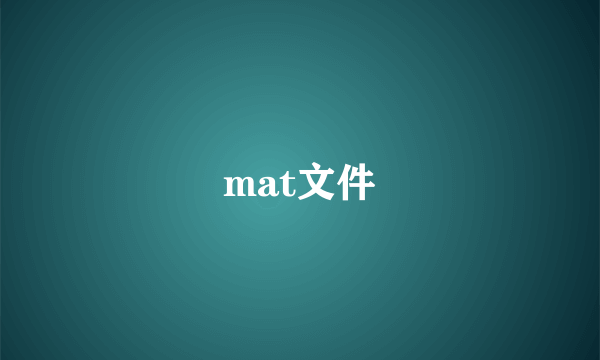 mat文件