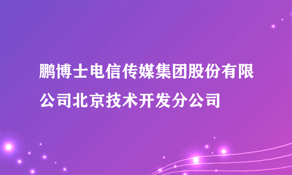 鹏博士电信传媒集团股份有限公司北京技术开发分公司