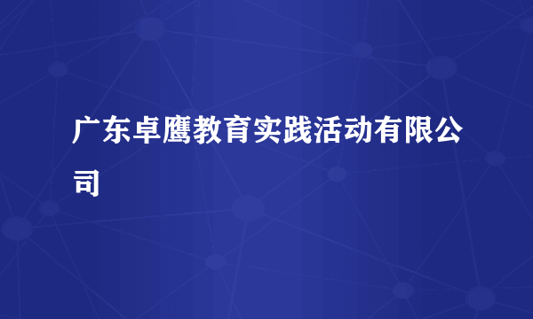 广东卓鹰教育实践活动有限公司