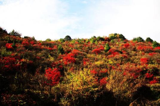 火村（北京市门头沟区斋堂镇下辖村）