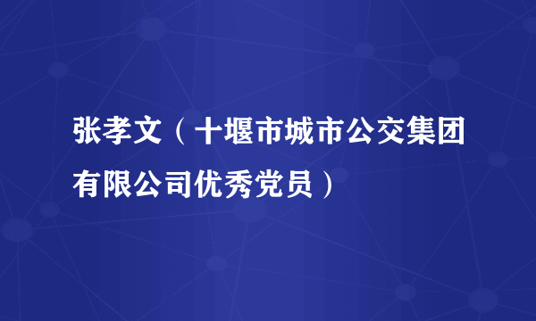 张孝文（十堰市城市公交集团有限公司优秀党员）