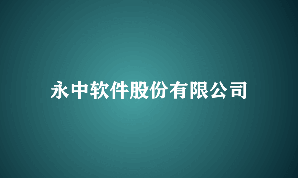 永中软件股份有限公司