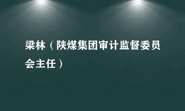 梁林（陕煤集团审计监督委员会主任）