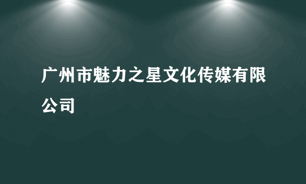 广州市魅力之星文化传媒有限公司