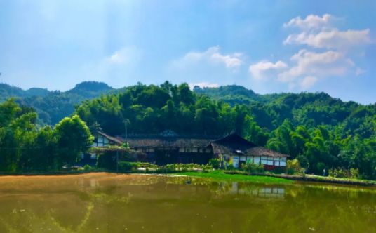 王家大院（四川省宜宾市江安县仁和镇境内的一处古迹）