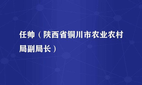 任帅（陕西省铜川市农业农村局副局长）