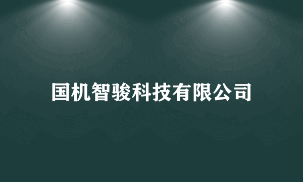 国机智骏科技有限公司