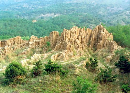 大连骆驼山海滨森林公园