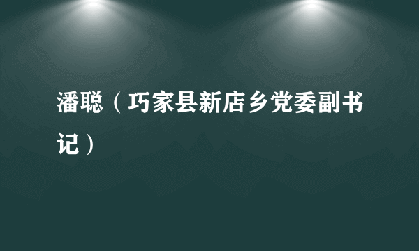 潘聪（巧家县新店乡党委副书记）