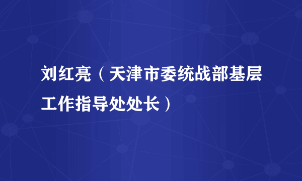 刘红亮（天津市委统战部基层工作指导处处长）