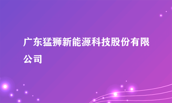 广东猛狮新能源科技股份有限公司