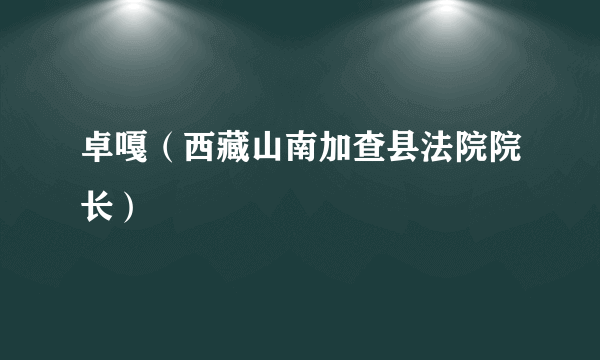 卓嘎（西藏山南加查县法院院长）