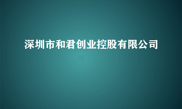 深圳市和君创业控股有限公司