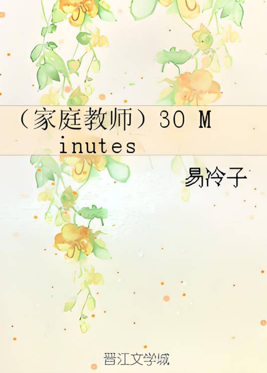 （家庭教师）30 Minutes