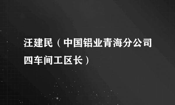 汪建民（中国铝业青海分公司四车间工区长）