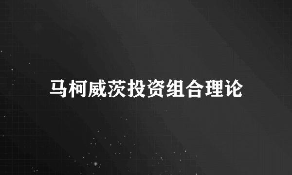 马柯威茨投资组合理论