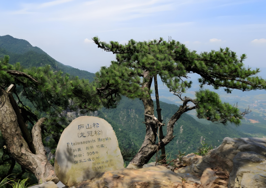 泰山锦绣谷风景区