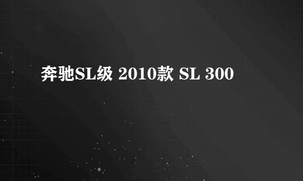 奔驰SL级 2010款 SL 300