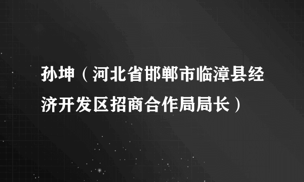 孙坤（河北省邯郸市临漳县经济开发区招商合作局局长）