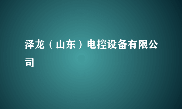 泽龙（山东）电控设备有限公司