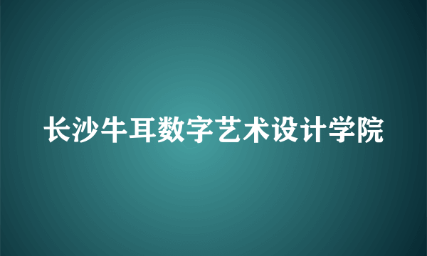 长沙牛耳数字艺术设计学院