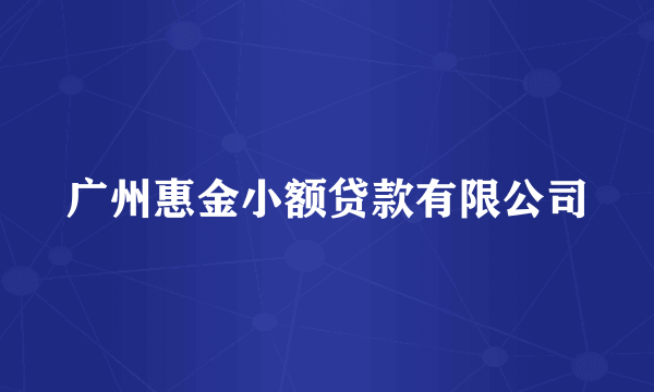 广州惠金小额贷款有限公司