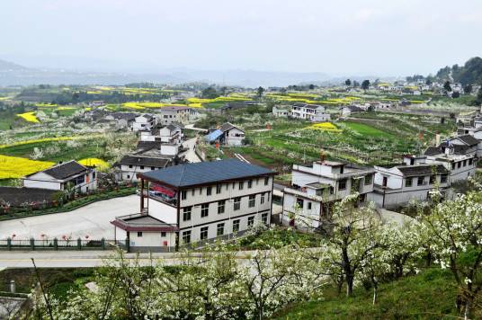 狮岭村（广东省四会市地豆镇下辖村）