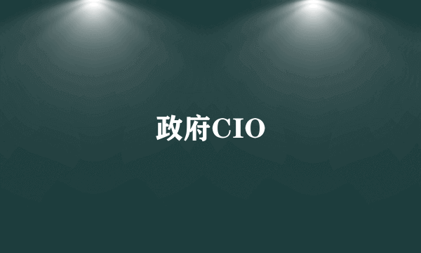 政府CIO