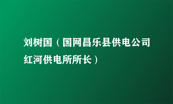 刘树国（国网昌乐县供电公司红河供电所所长）