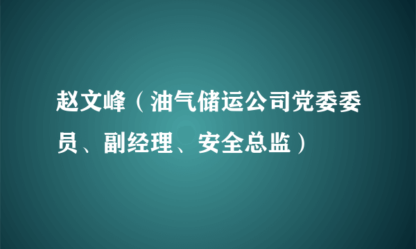 赵文峰（油气储运公司党委委员、副经理、安全总监）