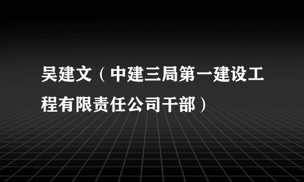 吴建文（中建三局第一建设工程有限责任公司干部）