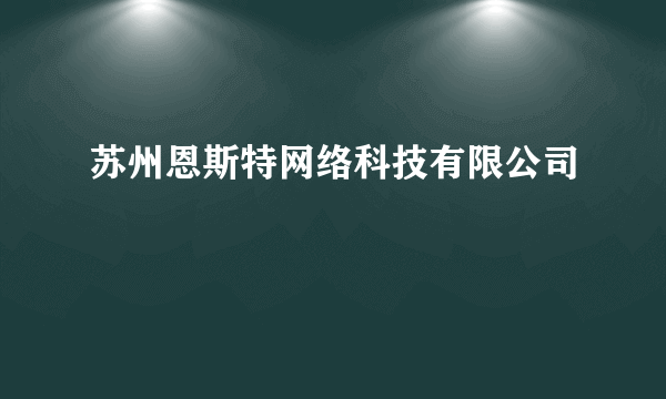 苏州恩斯特网络科技有限公司