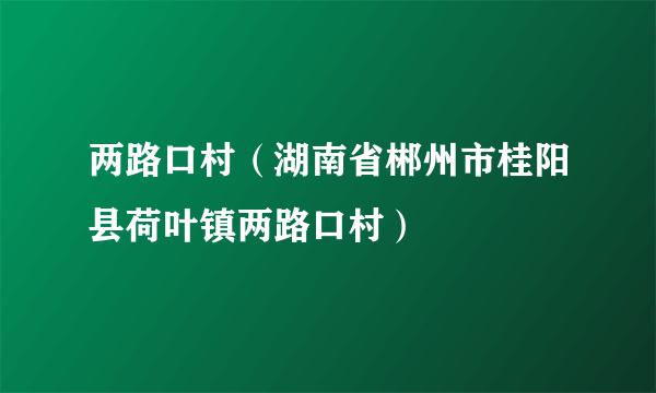 两路口村（湖南省郴州市桂阳县荷叶镇两路口村）