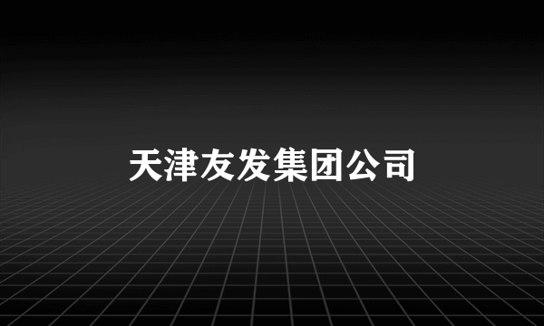 天津友发集团公司