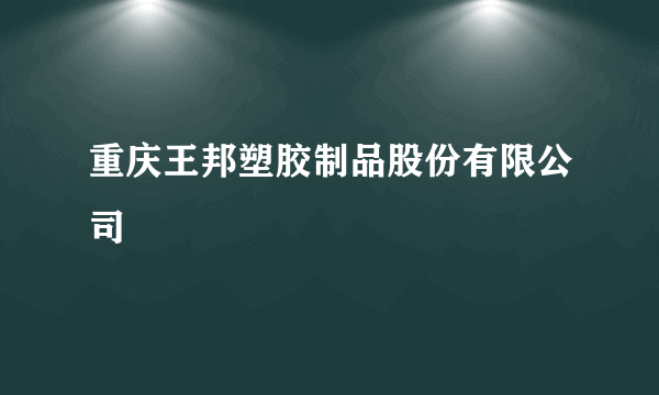 重庆王邦塑胶制品股份有限公司