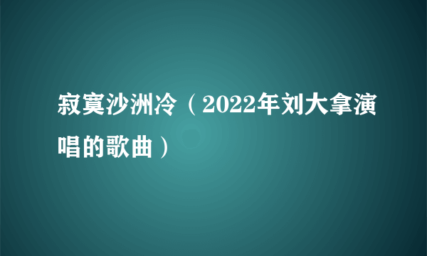 寂寞沙洲冷（2022年刘大拿演唱的歌曲）