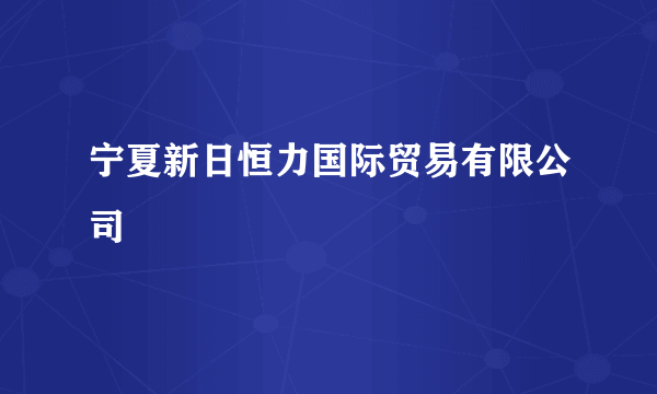 宁夏新日恒力国际贸易有限公司