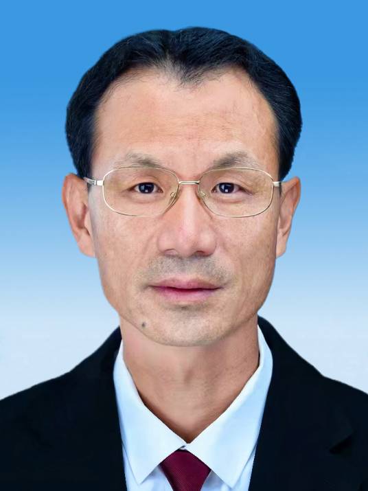 王军（云南省玉溪市政府原副市长）