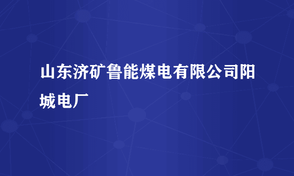 山东济矿鲁能煤电有限公司阳城电厂