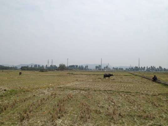 上浦村（浙江绍兴市上虞区下辖村）