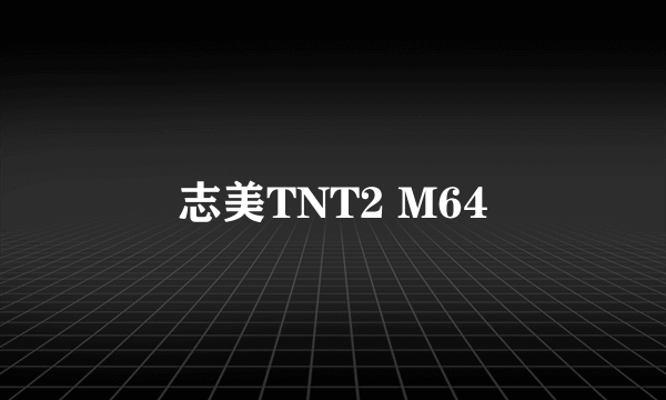 志美TNT2 M64