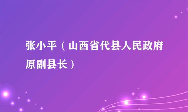 张小平（山西省代县人民政府原副县长）