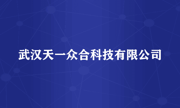 武汉天一众合科技有限公司