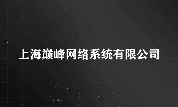 上海巅峰网络系统有限公司