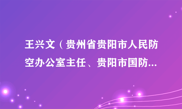 王兴文（贵州省贵阳市人民防空办公室主任、贵阳市国防动员办公室主任）