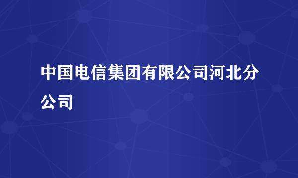 中国电信集团有限公司河北分公司