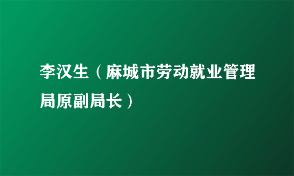 李汉生（麻城市劳动就业管理局原副局长）